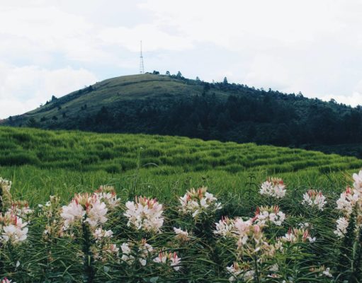 Bukit Simago-mago di Sipirok (Foto: inet)