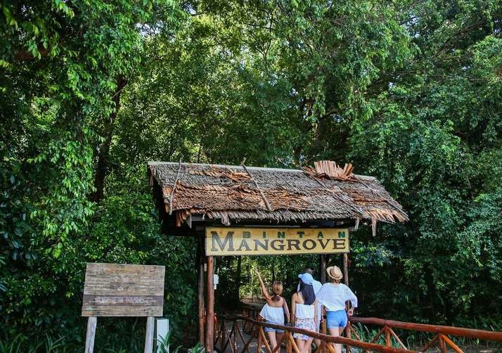 Bintan Mangrove 1