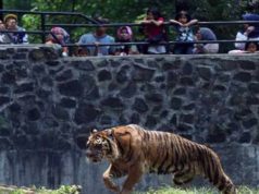 Objek Wisata Bandung