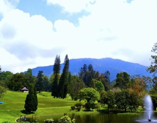 Kebun Raya Cibodas