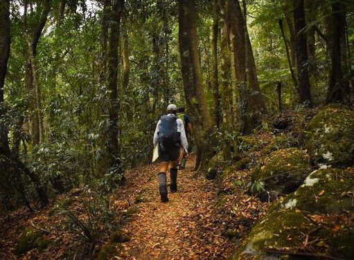 Tips Pendakian Gunung