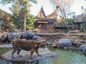 Batu Secret Zoo Malang