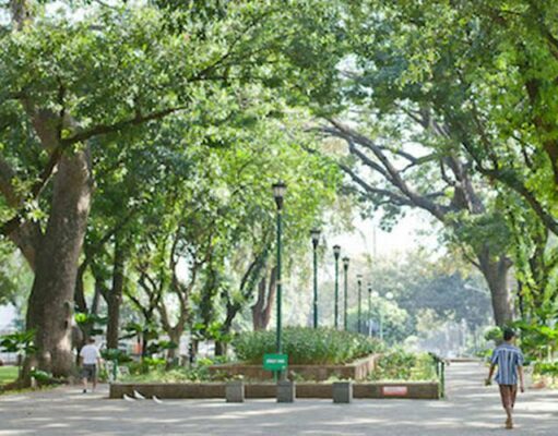 Taman