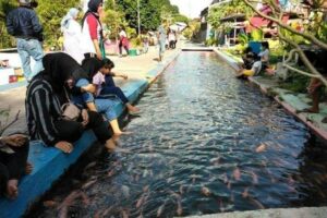 Wisata Dengan Sungai Jernih Penuh Ikan Yang Menyegarkan Di Yogyakarta Dan Jawa Tengah