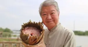 chua lam